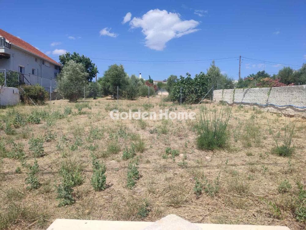 Building Plot in Agios Nikolaos, Rafina — Photo 1 of 6