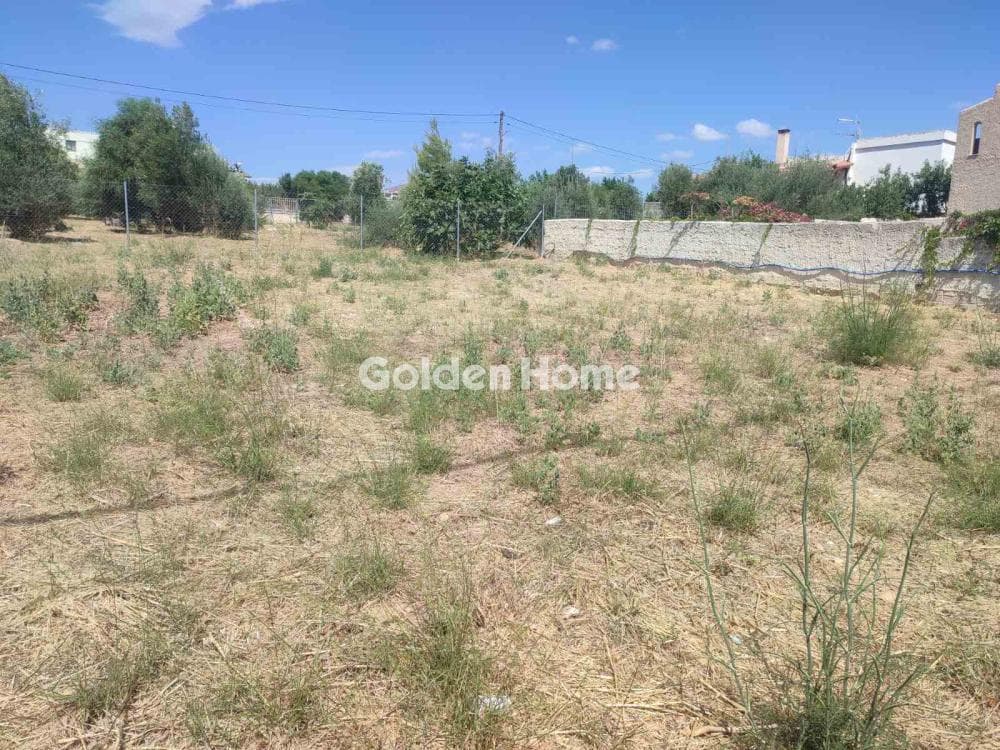 Building Plot in Agios Nikolaos, Rafina — Photo 5 of 6