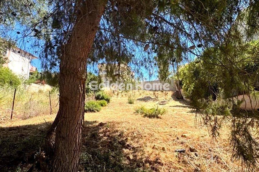 Οικόπεδο στην Δασαμάρι, Πικέρμι — Φωτογραφία 2 από 4