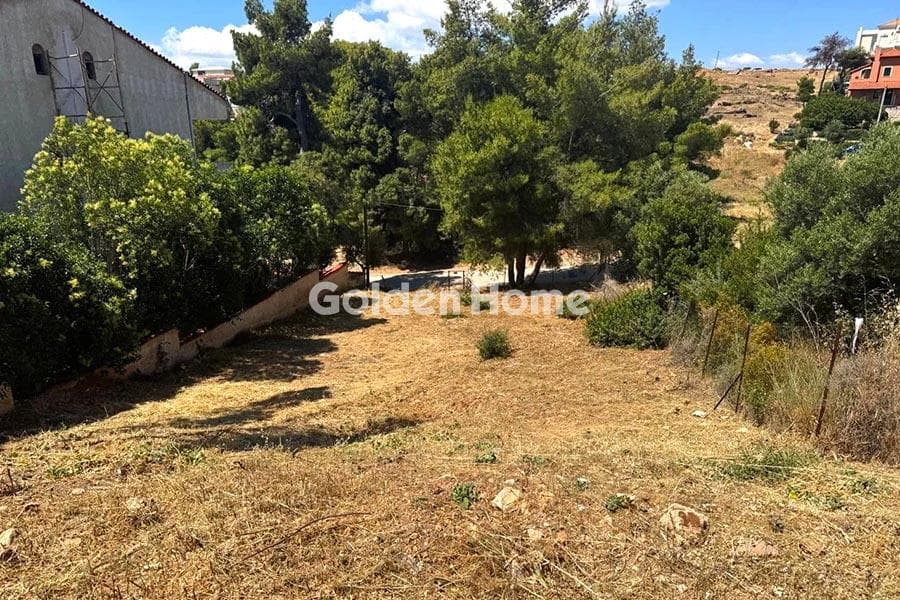 Οικόπεδο στην Δασαμάρι, Πικέρμι — Φωτογραφία 3 από 4