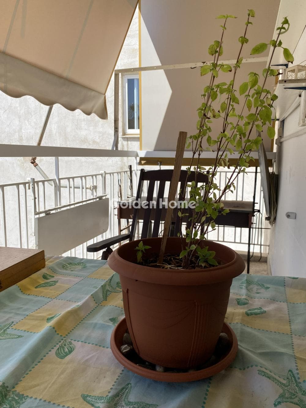 Apartment in Eirini, Nea Ionia — Photo 5 of 23
