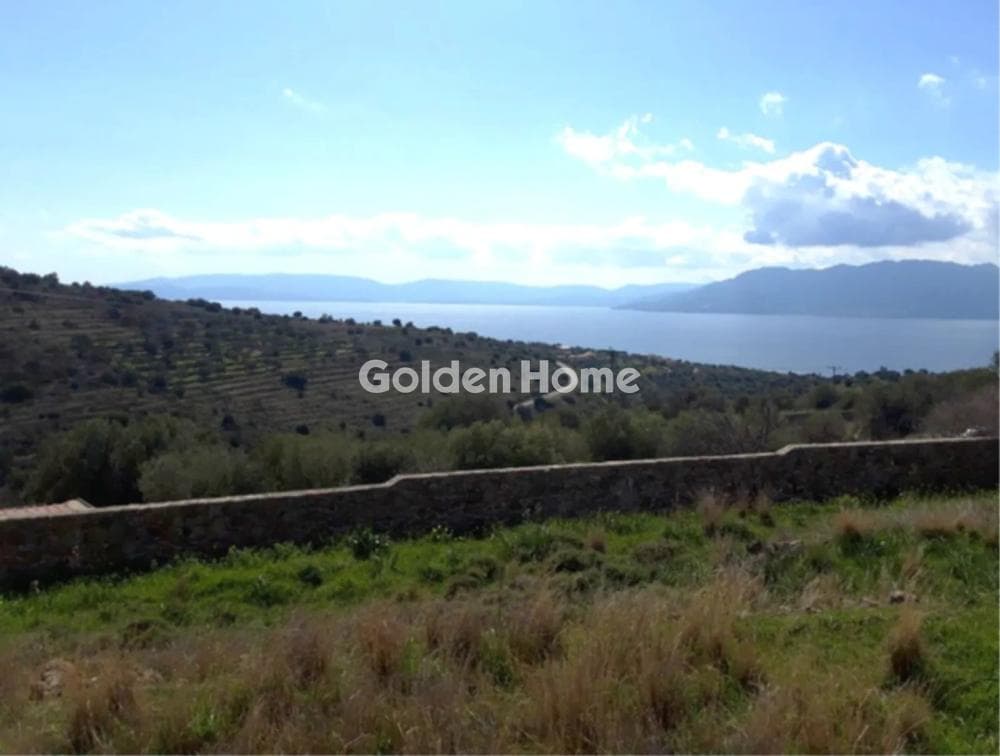 Οικόπεδο στην Σφεντούρι, Αίγινα — Φωτογραφία 1 από 4
