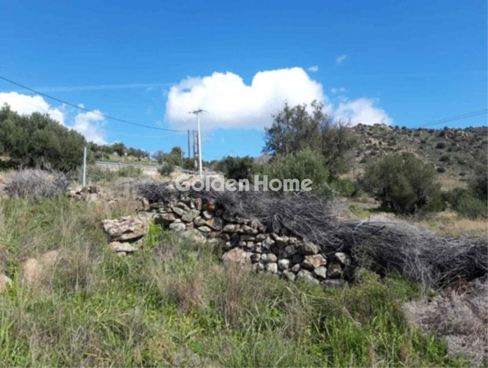 Οικόπεδο στην Σφεντούρι, Αίγινα — Φωτογραφία 2 από 4