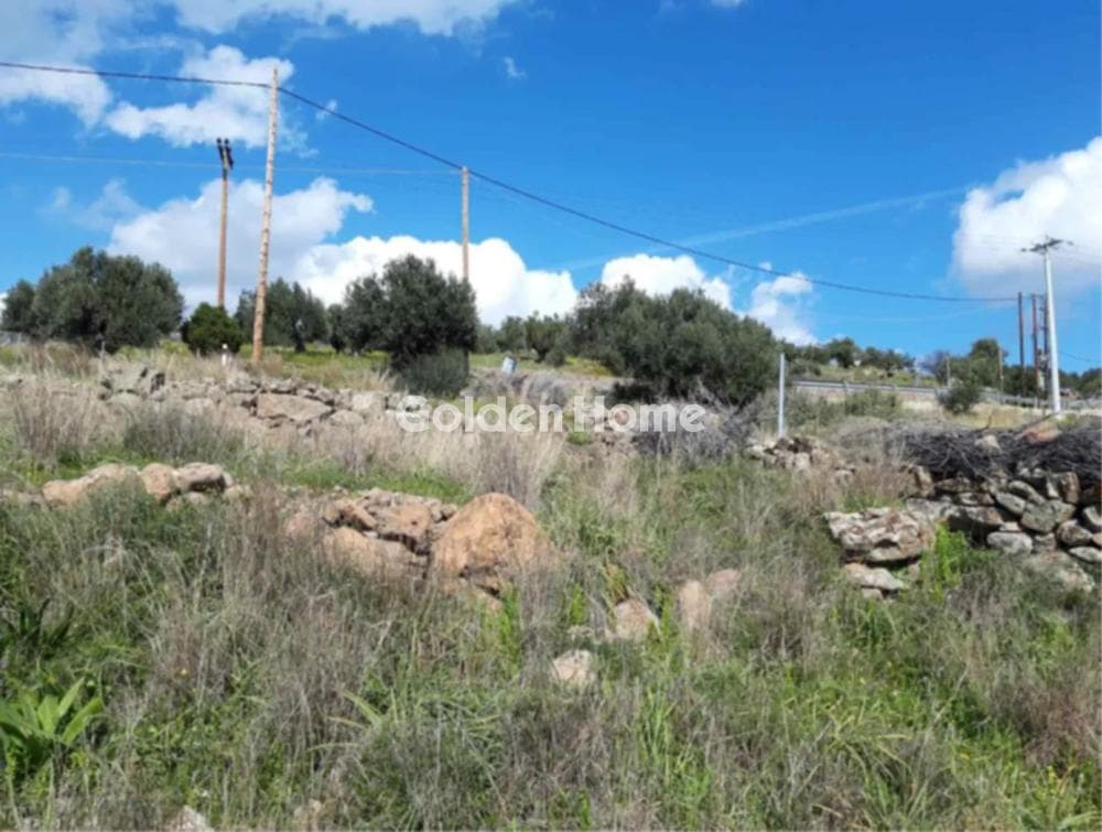 Οικόπεδο στην Σφεντούρι, Αίγινα — Φωτογραφία 3 από 4