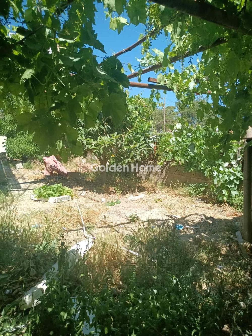 Building Plot in Archontiko, Arkalochori — Photo 1 of 2