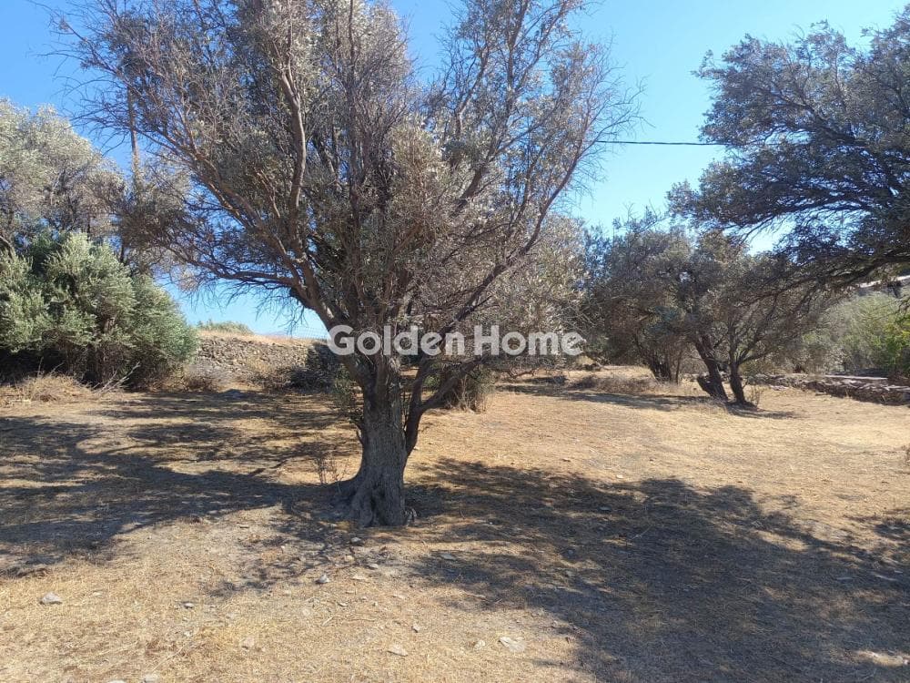 Οικόπεδο στην Σύρος, Σύρος — Φωτογραφία 6 από 8