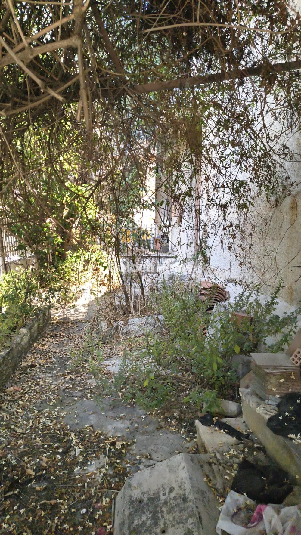 Μονοκατοικία στην Ιωνία, Νέα Ιωνία — Φωτογραφία 1 από 3