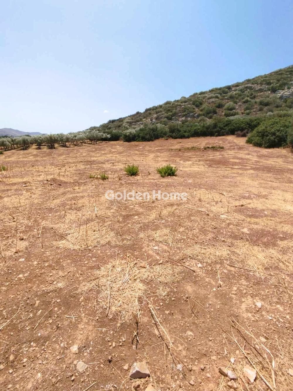 Αγροτεμάχιο στην Καλύβια, Καλύβια Θορικού — Φωτογραφία 1 από 3