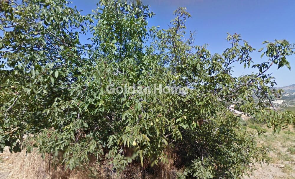 Building Plot in Agios Mironas, Tetrachori