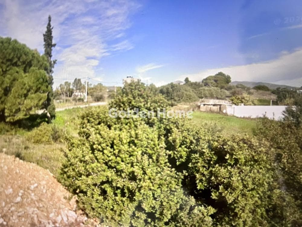Οικόπεδο στην Κάτω Χαρβάτι, Παλλήνη — Φωτογραφία 1 από 3