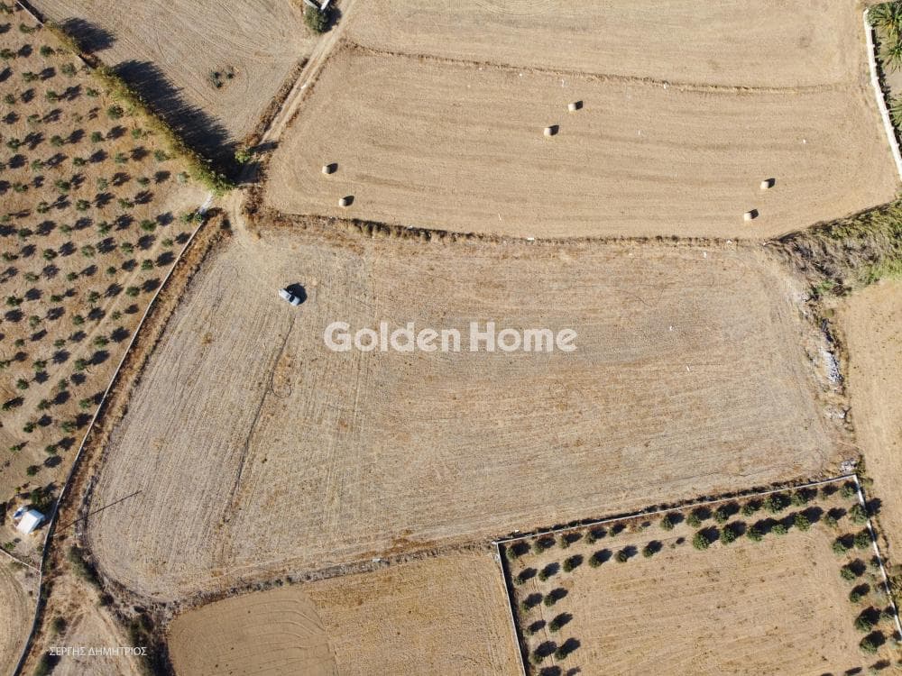 Building Plot in Kastraki, Naxos — Photo 7 of 8
