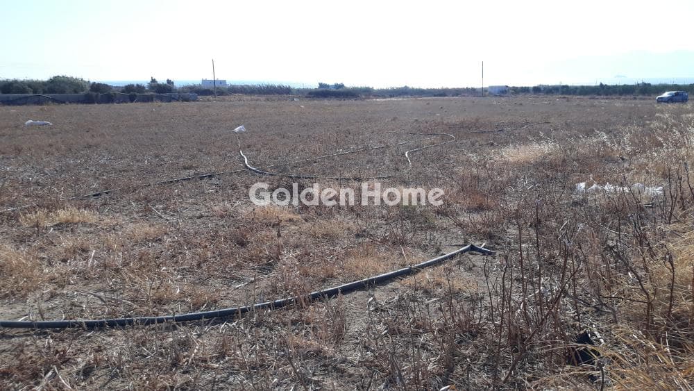 Building Plot in Kastraki, Naxos — Photo 6 of 8