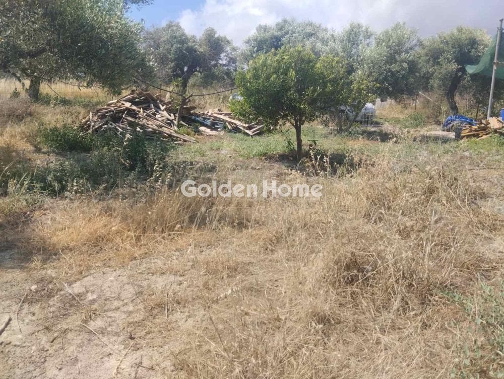 Αγροτεμάχιο στην Άγιος Σύλλας, Αρχάνες — Φωτογραφία 8 από 11