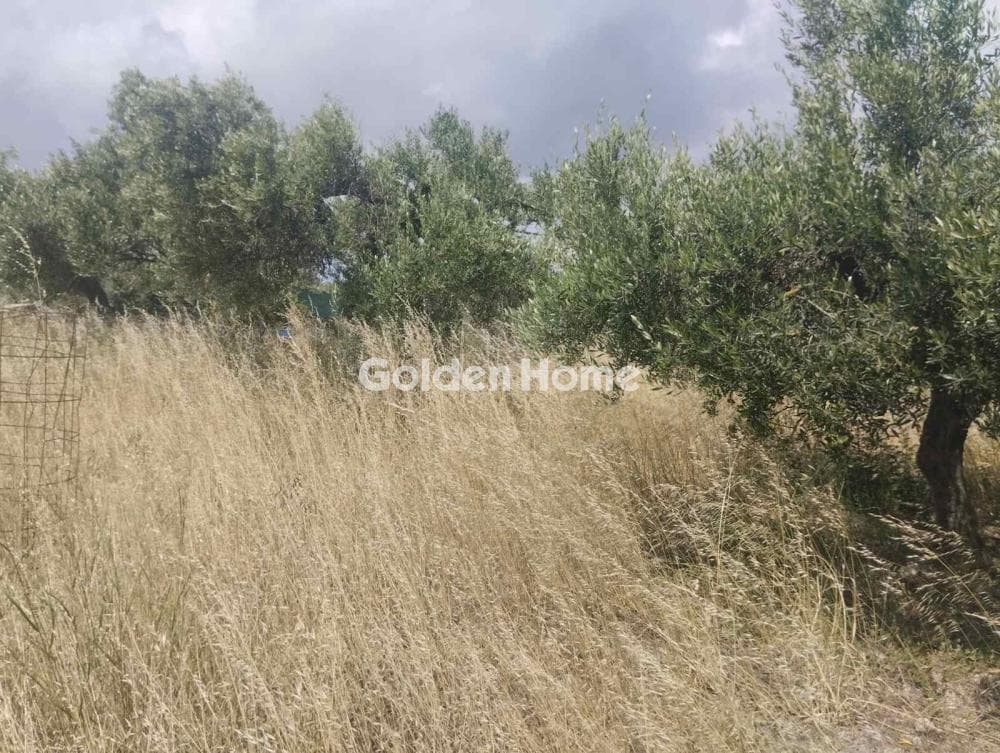 Αγροτεμάχιο στην Άγιος Σύλλας, Αρχάνες — Φωτογραφία 4 από 11