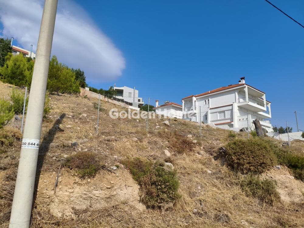 Building Plot in Neos Voutzas, Rafina — Photo 3 of 16