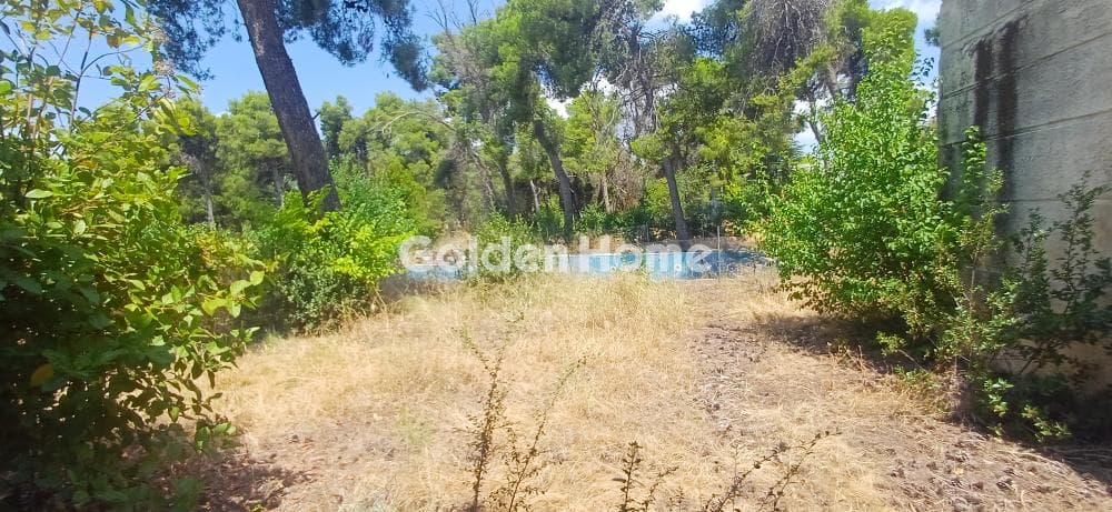Μονοκατοικία στην Αδάμες (Οικισμός Πελοποννησίων), Κηφισιά — Φωτογραφία 19 από 22