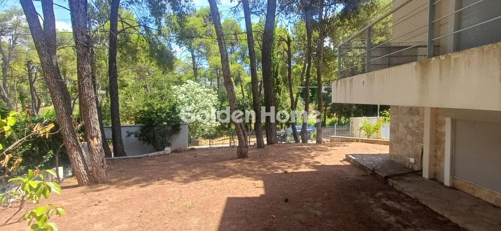 Μονοκατοικία στην Δροσιά, Δροσιά — Φωτογραφία 31 από 31