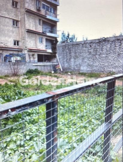 Οικόπεδο στην Θυμαράκια, Αττική — Φωτογραφία 2 από 6