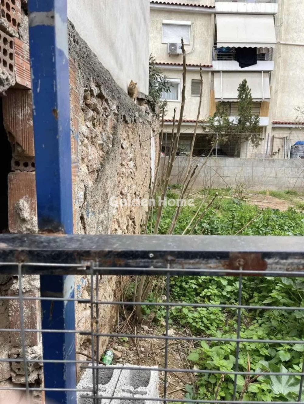 Οικόπεδο στην Θυμαράκια, Αττική — Φωτογραφία 6 από 6
