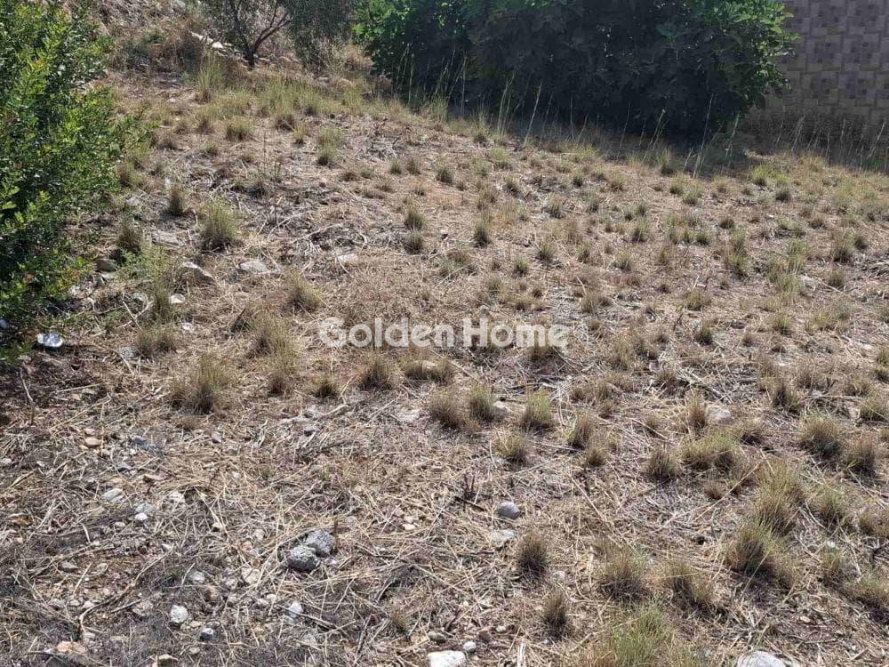 Building Plot in Kseno, Salamina — Photo 3 of 6