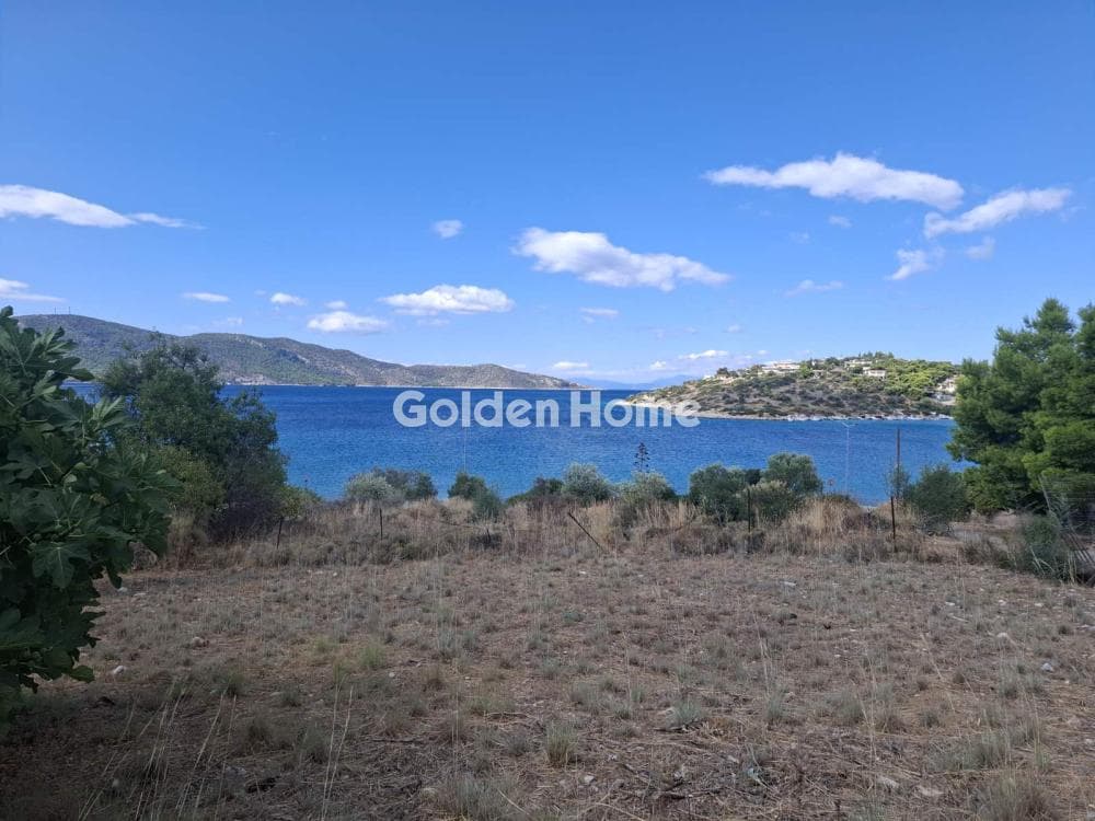 Building Plot in Kseno, Salamina — Photo 1 of 6