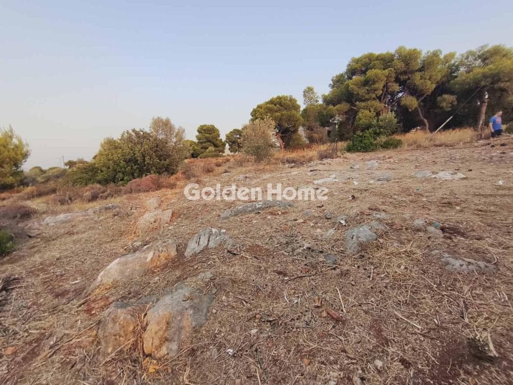 Building Plot in Paloukia, Abelakia — Photo 2 of 3
