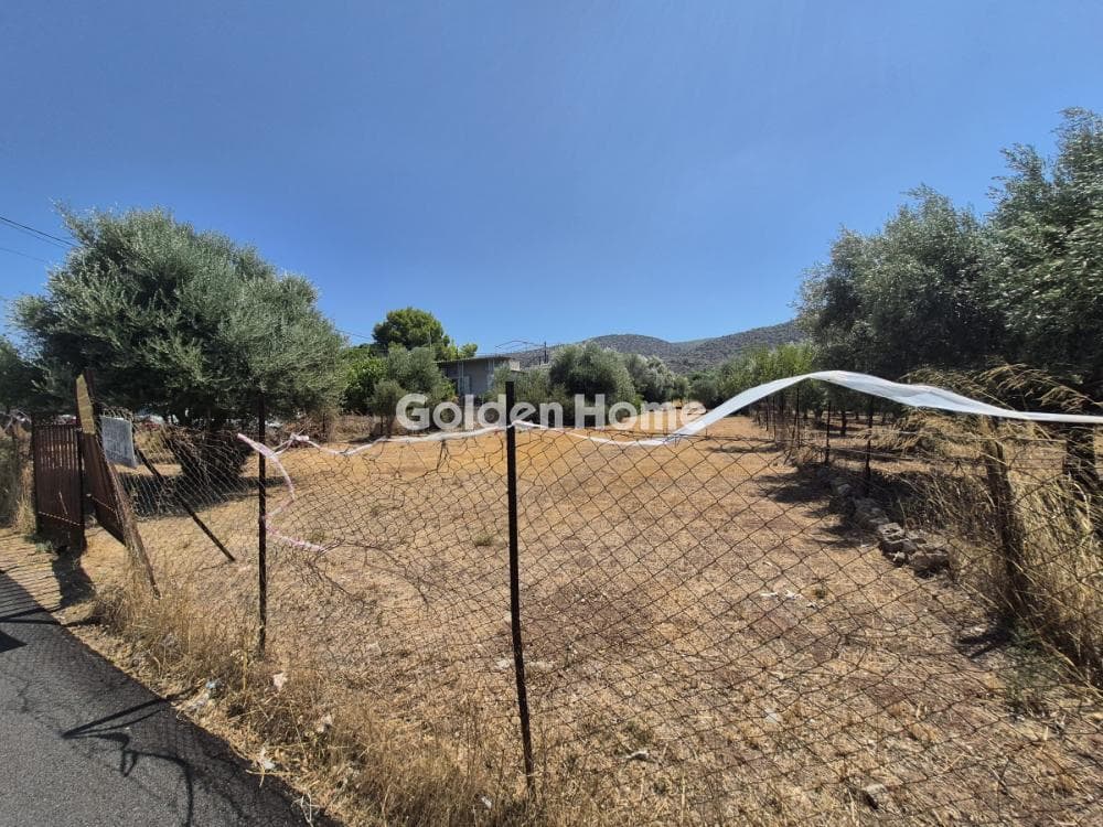 Building Plot in Megalo Ntoroto, Salamina — Photo 1 of 3