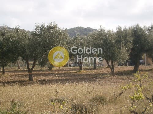 Building Plot in Ari, Anavissos — Photo 2 of 8