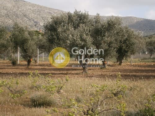 Building Plot in Ari, Anavissos — Photo 3 of 8