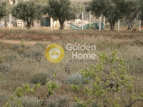 Building Plot in Ari, Anavissos — Photo 6 of 8