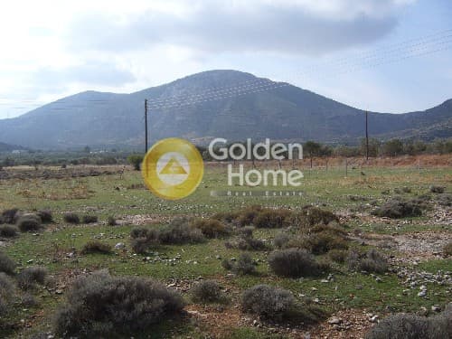 Parcel in Center, Koropi — Photo 4 of 9