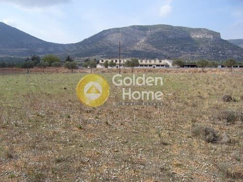 Parcel in Center, Koropi — Photo 2 of 9