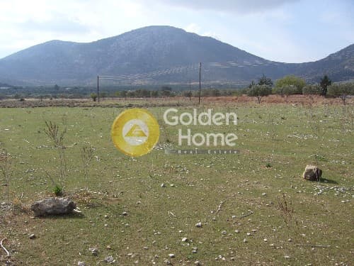 Parcel in Center, Koropi — Photo 5 of 9