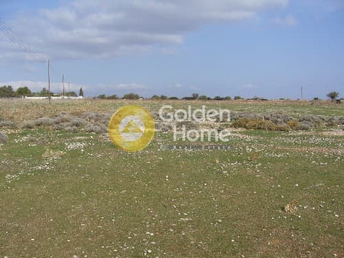 Parcel in Center, Koropi — Photo 3 of 9