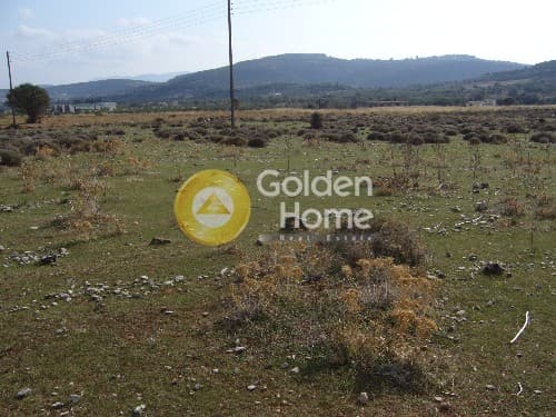 Parcel in Center, Koropi — Photo 9 of 9