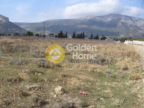 Parcel in Center, Koropi — Photo 6 of 9