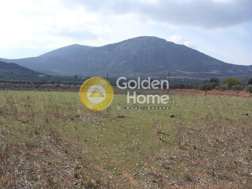 Parcel in Center, Koropi — Photo 7 of 9
