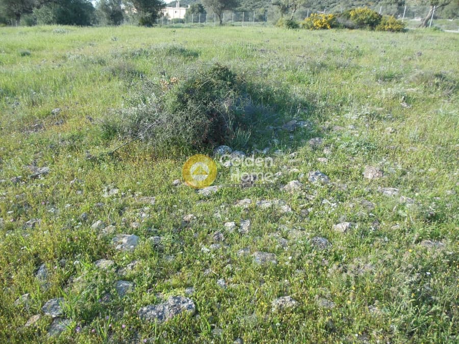 Parcel in Κέντρο, Kalivia Thorikou — Photo 1 of 7