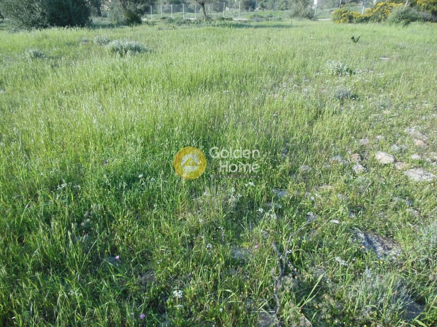Parcel in Κέντρο, Kalivia Thorikou — Photo 2 of 7