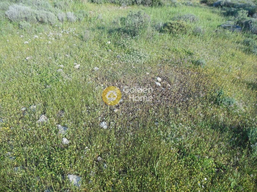 Parcel in Κέντρο, Kalivia Thorikou — Photo 3 of 7