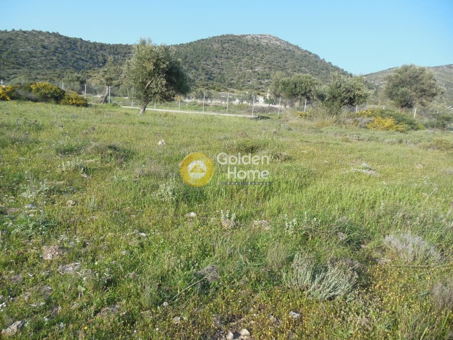Parcel in Κέντρο, Kalivia Thorikou — Photo 4 of 7