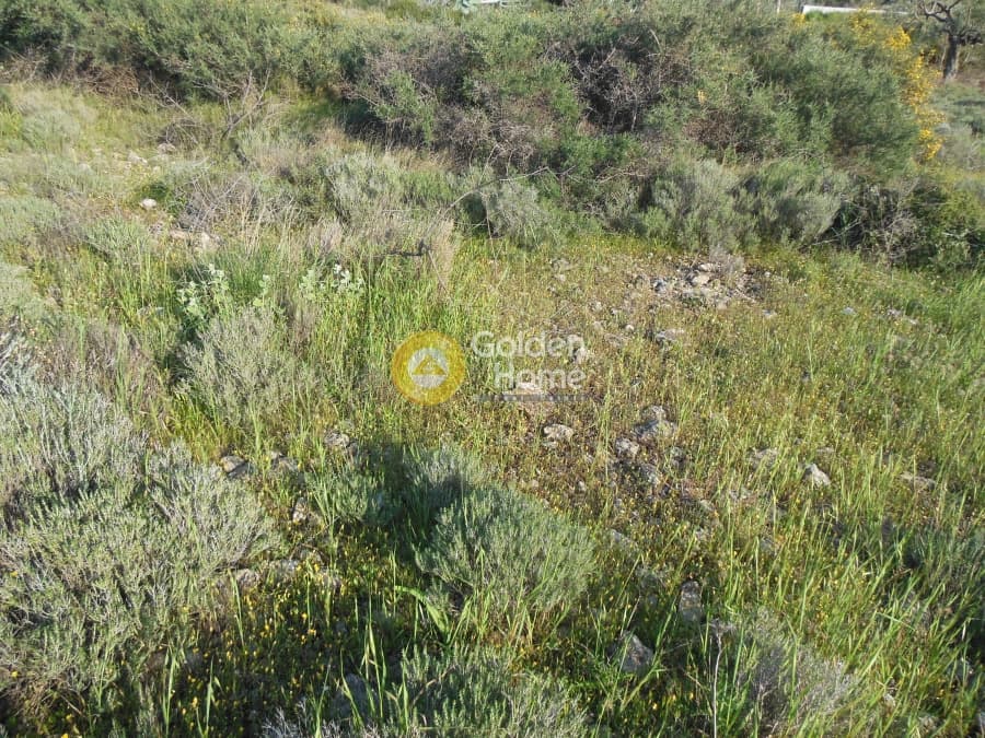 Parcel in Κέντρο, Kalivia Thorikou — Photo 5 of 7