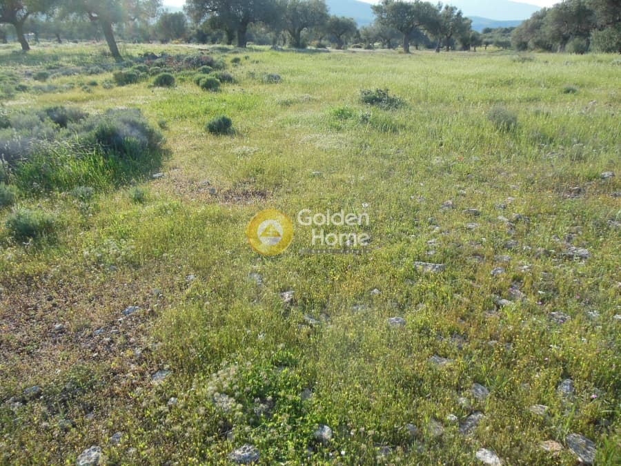 Parcel in Κέντρο, Kalivia Thorikou — Photo 6 of 7