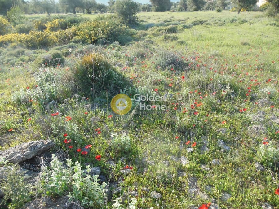 Parcel in Κέντρο, Kalivia Thorikou — Photo 7 of 7