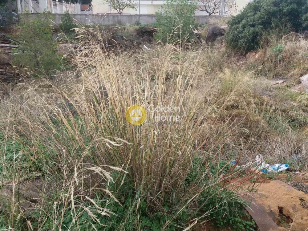 Building Plot in Kefleika, Kalivia Thorikou — Photo 3 of 5