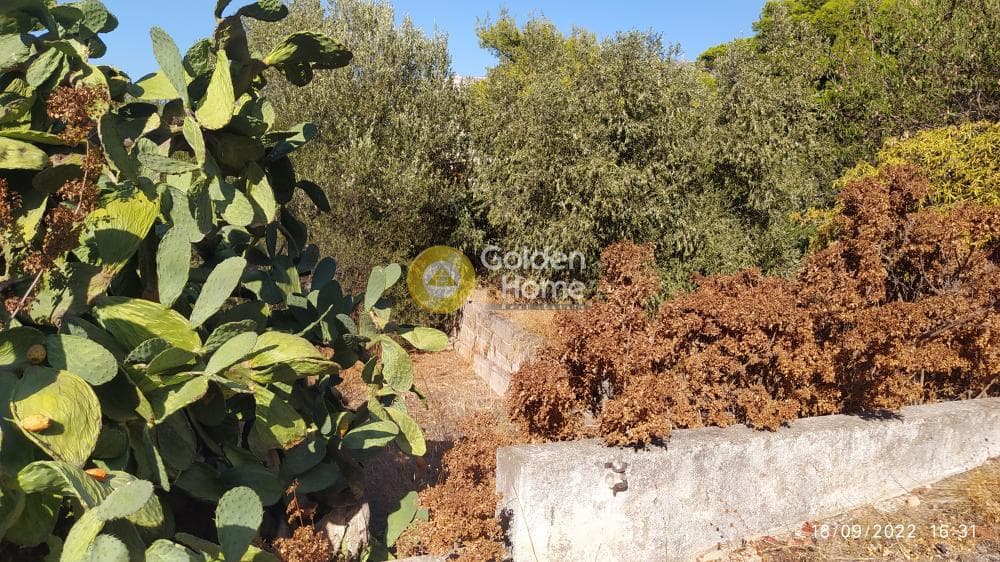 Οικόπεδο στην Σαρωνίδα, Σαρωνίδα — Φωτογραφία 3 από 7