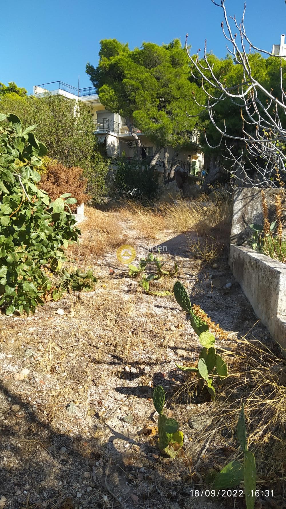 Οικόπεδο στην Σαρωνίδα, Σαρωνίδα — Φωτογραφία 5 από 7