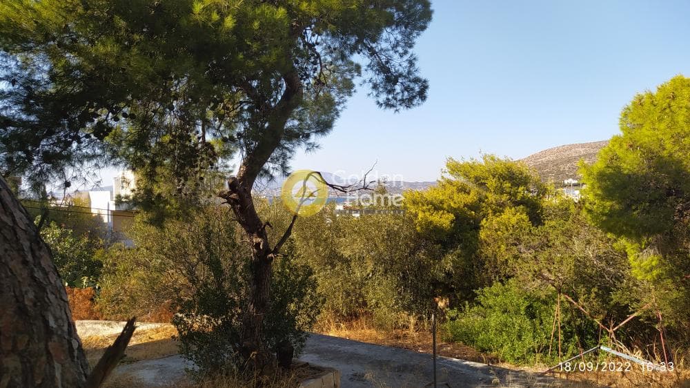 Οικόπεδο στην Σαρωνίδα, Σαρωνίδα — Φωτογραφία 7 από 7