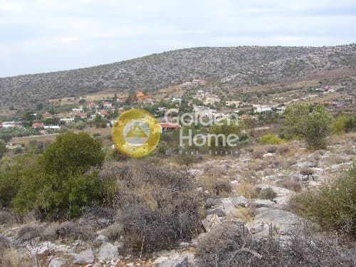 Αγροτεμάχιο στην Λαμπρικά, Κορωπί — Φωτογραφία 5 από 9