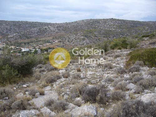 Αγροτεμάχιο στην Λαμπρικά, Κορωπί — Φωτογραφία 7 από 9